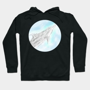 Dolphin Hoodie